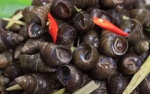 Hoài Linh - Ốc Nóng