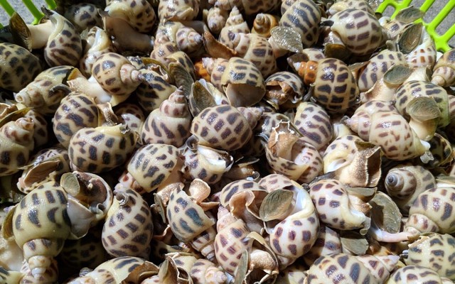 Quán Nhậu Cậu Ốc 28