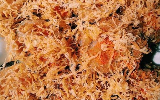 Tiệm Ăn Đói Meo - Bánh Tráng