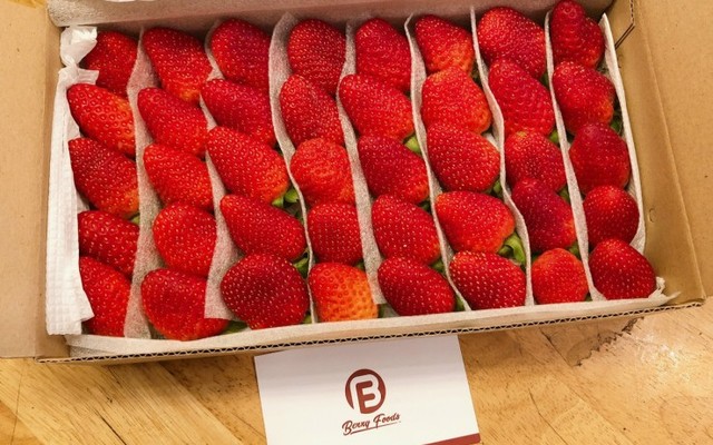 Berry Food - Phúc Bồn Tử, Mâm Xôi & Dâu Mỹ