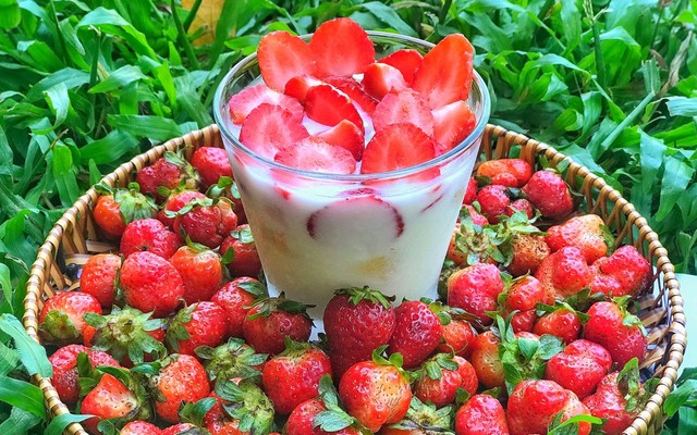 Sữa Chua Trái Cây Tươi Thanh Hương
