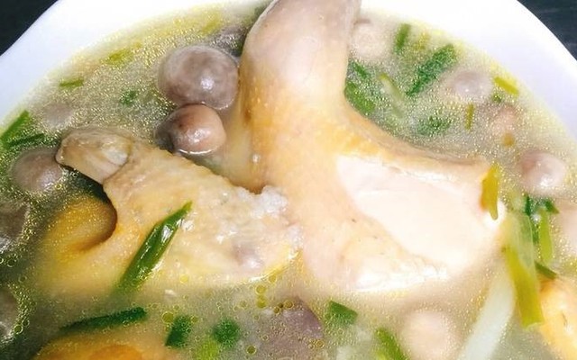 GÀ TA HỒNG HẠNH - Huỳnh Tấn Phát