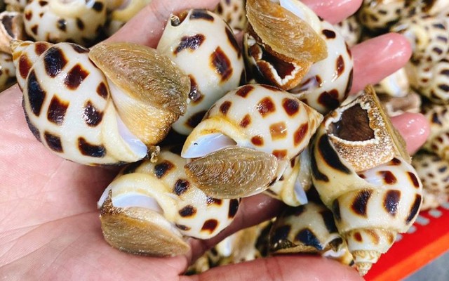 Hải Sản Bếu - 230 Đường 2 Tháng 9