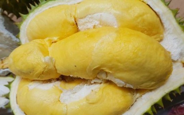 HK Foods - Sầu Riêng Rụng - Hoàng Cầu