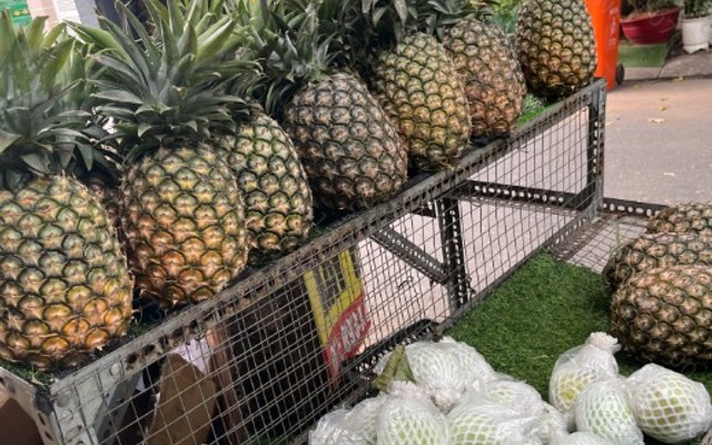 Nước Ép Sinh Tố Hương Xuân