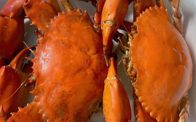 Ăn Sáng - Hải Sản Sạch - Pypham