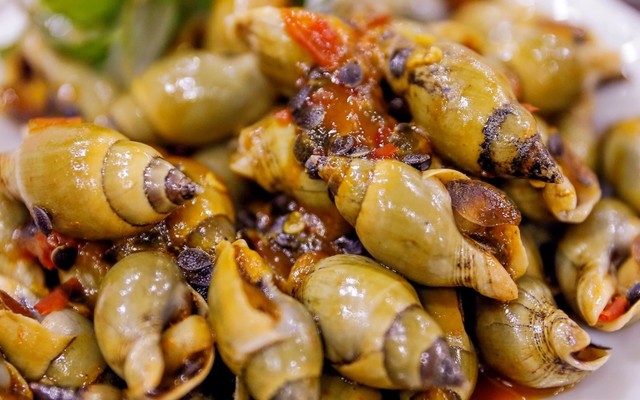 Ốc Mít Mật - Kim Liên