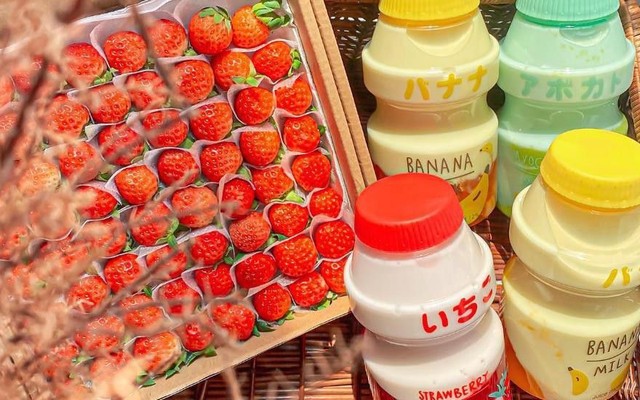 Dâu Nhà Ken - 466bis/1 Hai Bà Trưng