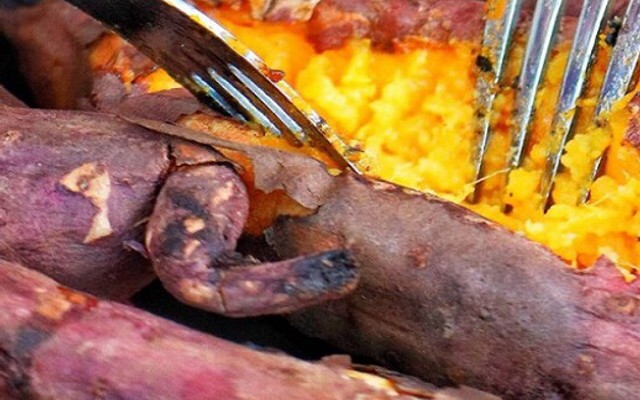 Khoai Lang Mật Nướng Nagomi - Tô Vĩnh Diện