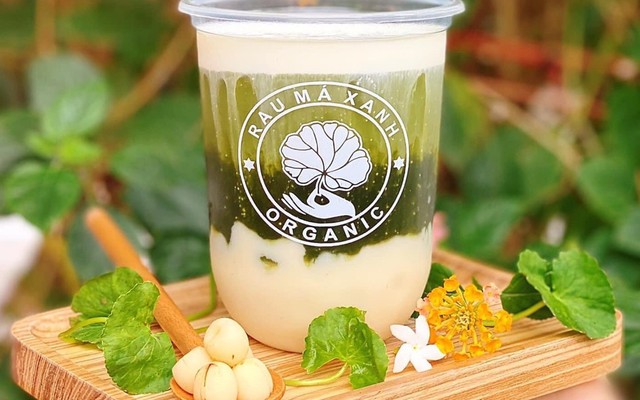 Rau Má Xanh Organic - Rau Má - Minh Cầu