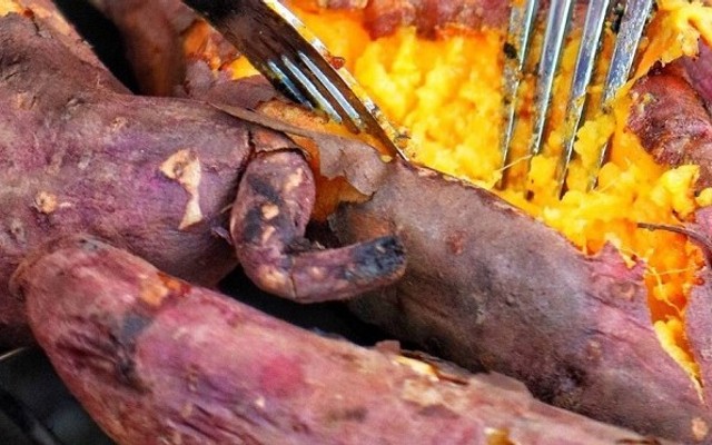 Khoai Lang Mật Nagomi - Khoai Nướng Nhật Bản - Bùi Đình Túy