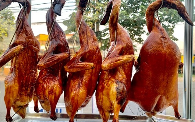 Vịt Điệp Phong 2 - Vịt - Đê Nông Lâm