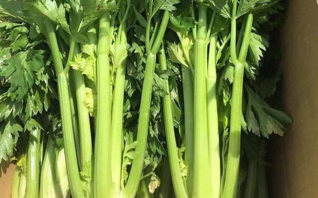 Nước Ép Detox - Sinh Tố Cục Vàng Quán