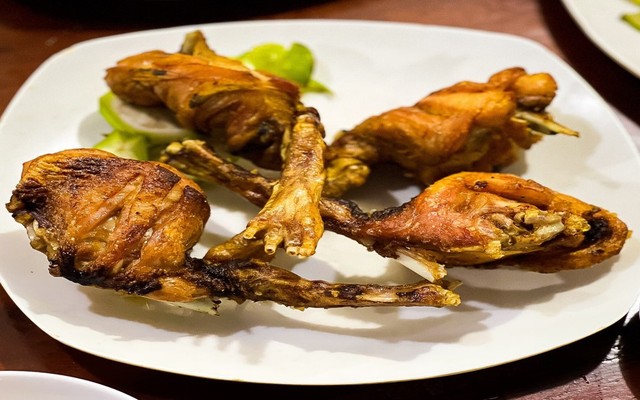 Thỏ Phú Gia - Phan Anh