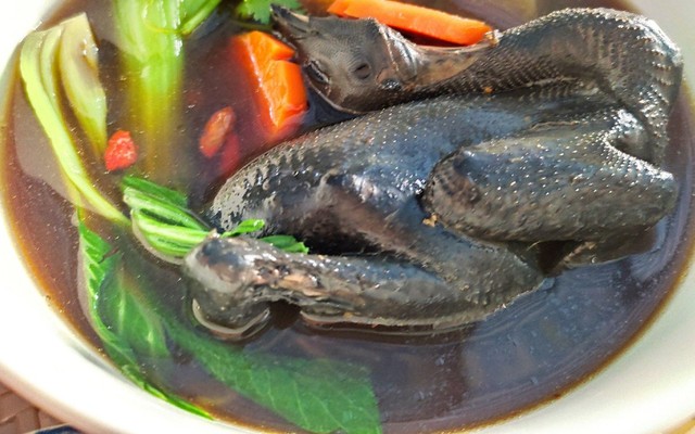 Gà Ác Thảo Mộc 178 - Tô Vĩnh Diện