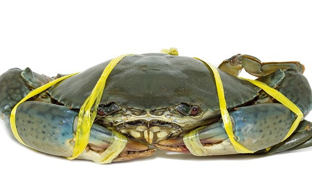 Vựa Cua Cà Mau - Lý Phục Man