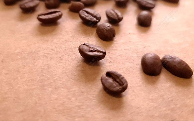 Cam Cà Phê - Nguyễn Đình Tứ