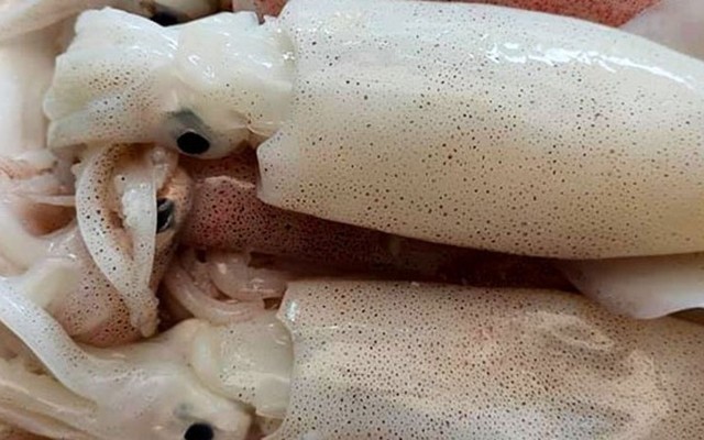 Vựa Hải Sản Ngọc Anh - Đường Số 4