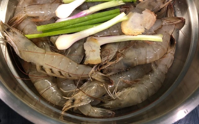 Tập Ăn Cá - Đường Số 4