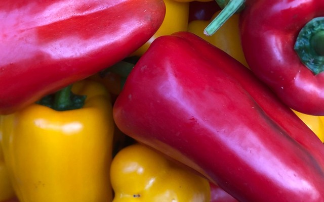 Vườn Xanh Đà Lạt - Rau Củ Quả Đà Lạt - Phan Đình Phùng