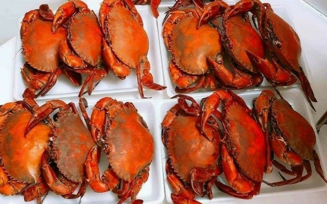 Vựa Cua Cà Mau - Hải Sản Cà Mau - Tân Kỳ Tân Quý