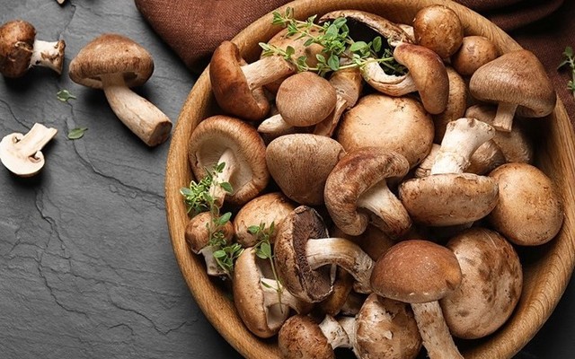 Hằng Nấm Tươi - Lê Thúc Hoạch