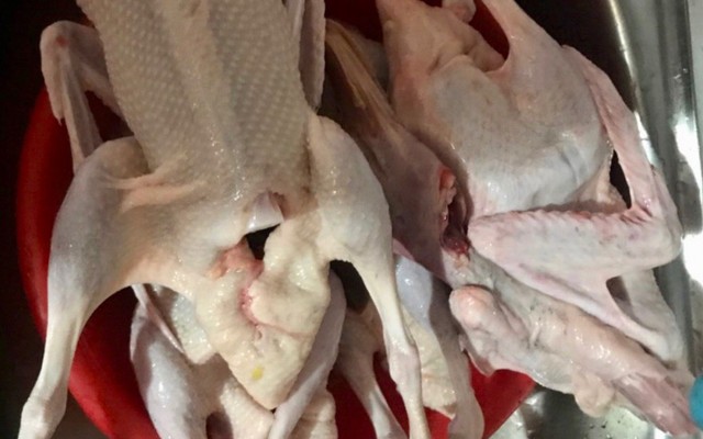 Bé Yến - Vịt Cỏ Quảng Ngãi Tươi Sống