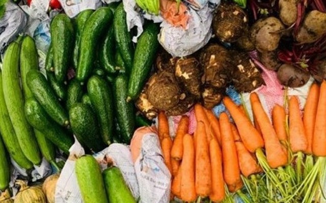 Rau Củ Tâm An - Nguyễn Trọng Lội