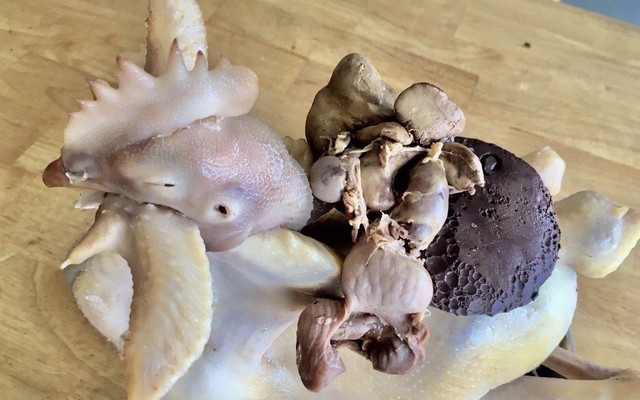 Sơn Ca - Gà Ta & Vịt Tươi Sống - Mai Văn Ngọc