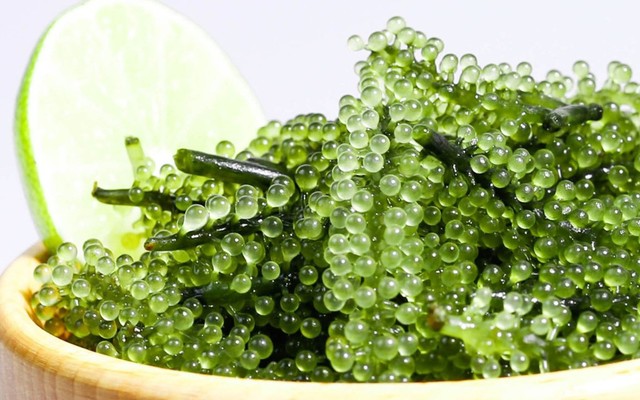 Hoàng Khôi Food - Trần Mai Ninh