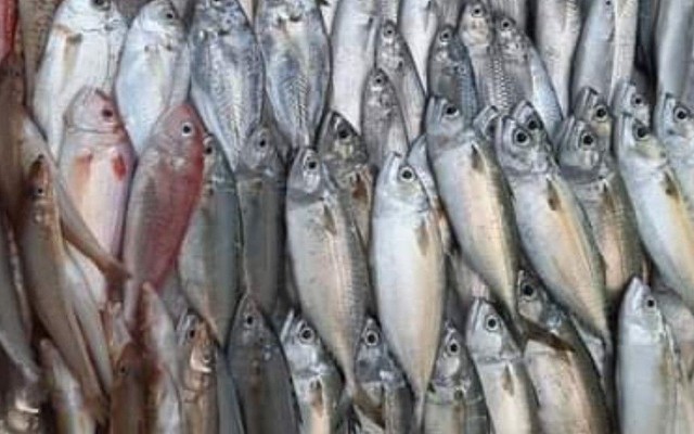 Vựa Thủy Sản Linh Mon - Nguyễn Tư Giản
