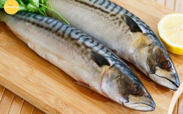 Cửa Hàng ISea Food - Hải Sản Tươi Đông Lạnh