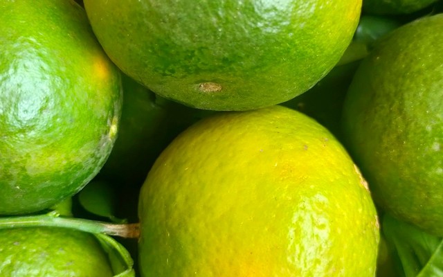 Thực Phẩm, Trái Cây Quê Nhà - Cô Hai