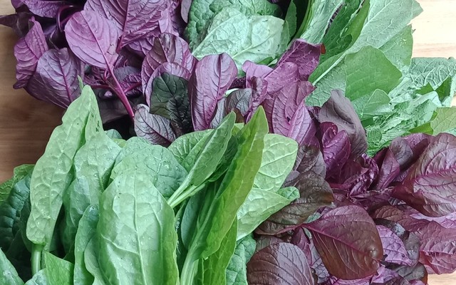 Chợ Quê - Xôi Khúc & Nước Cốt Phở - Phạm Thái Bường