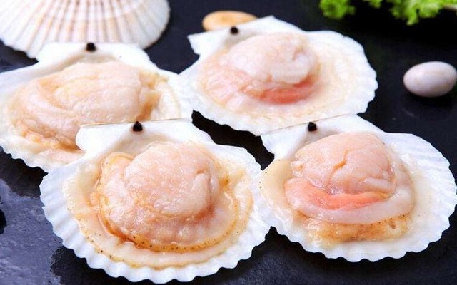 Hải Sản Thủy Cung - Nơ Trang Long