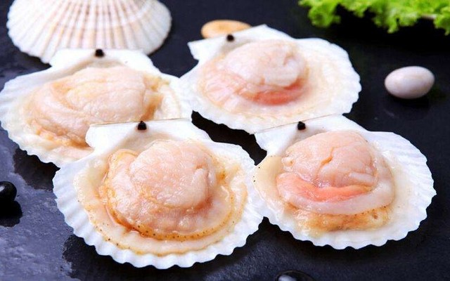 Hải Sản Thủy Cung - Dương Bá Trạc