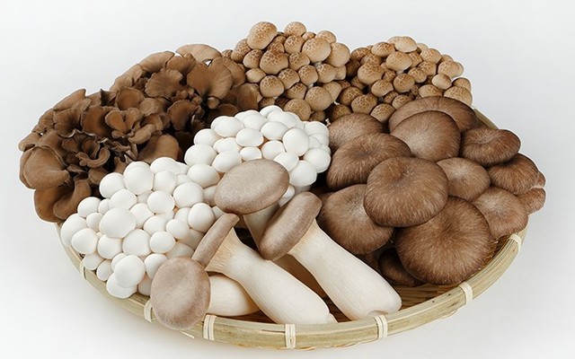 Vựa Nấm Tươi - Ba Mươi Tháng Tư