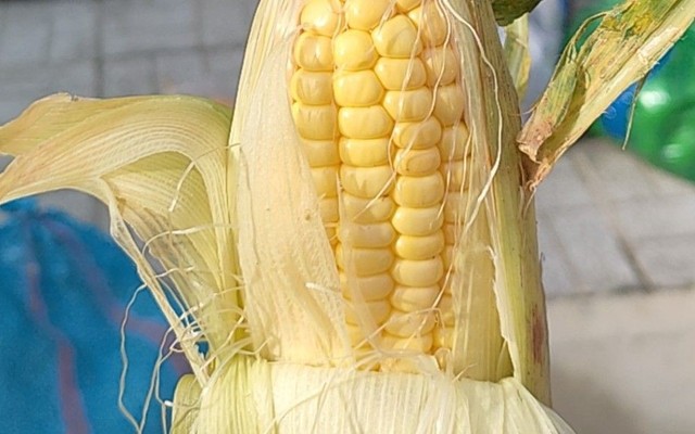 Luna Tạp Hóa Giá Rẻ - Thực Phẩm & Rau Củ Quả