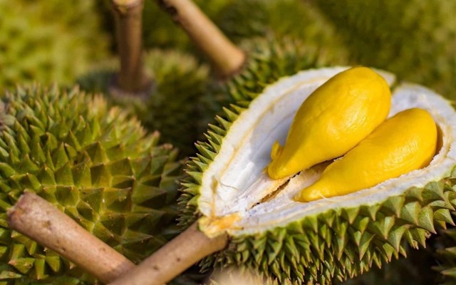 Hoa Quả Sạch 3 Miền - Thái Hà