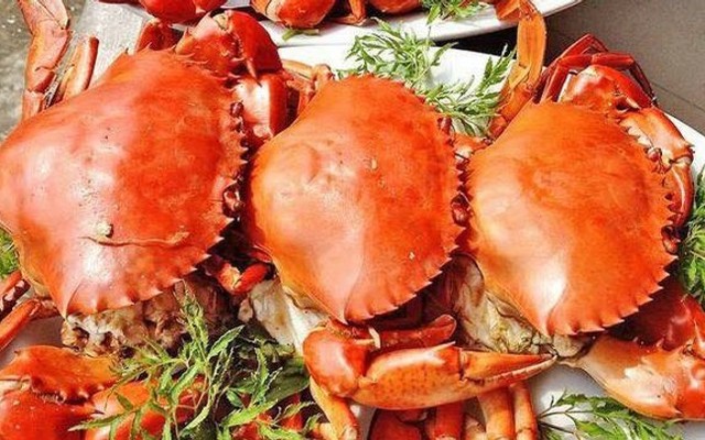 Hải Sản Thế Giới Ốc 245 - Phạm Văn Bạch