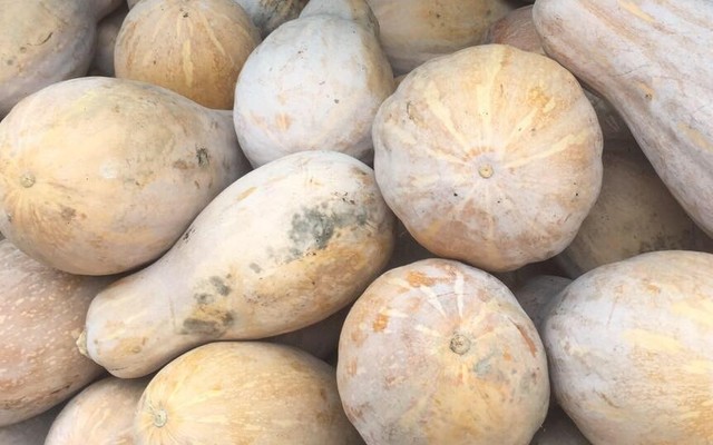 Thực Phẩm An Toàn - Mễ Trì Thượng