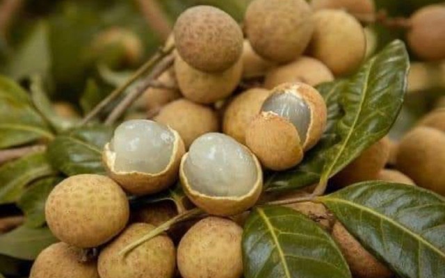 Bếp Quán Zì - Hoa Quả & Trái Cây Tươi - Đỗ Thuận