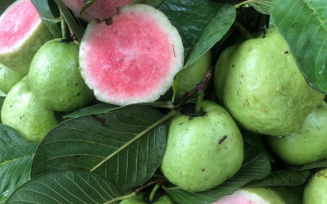 Trái Cây TNT's House - Trần Khánh Dư