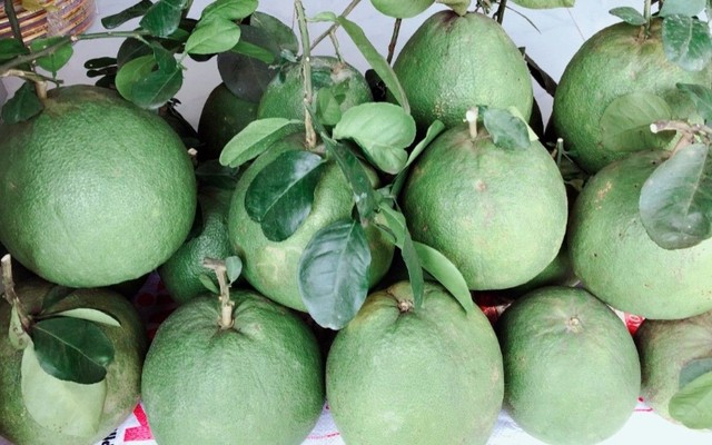 Tiên Tiên Shop - Lê Lai