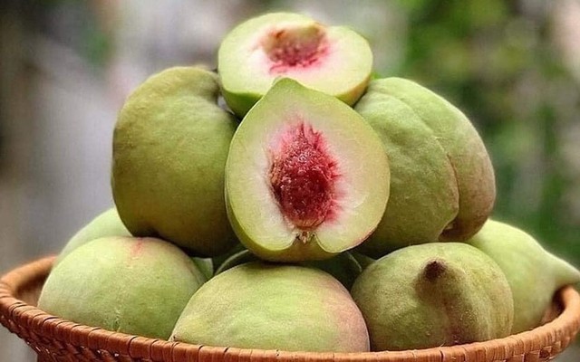 Quang Anh - Xoài & Cóc Bao Tử