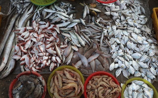 Thực Phẩm Tươi Sống - Ba Chị Em