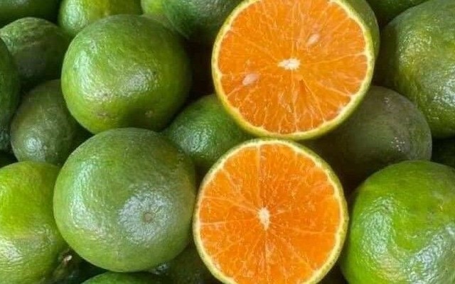 Yến - Rau Củ Quả & Trái Cây Đà Lạt