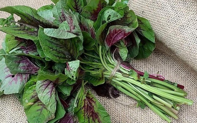 43Foods - Trần Cao Vân