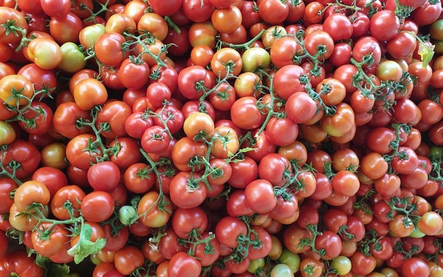 Cozy - Thực Phẩm & Rau Củ Đà Lạt - Nguyễn Khuyến