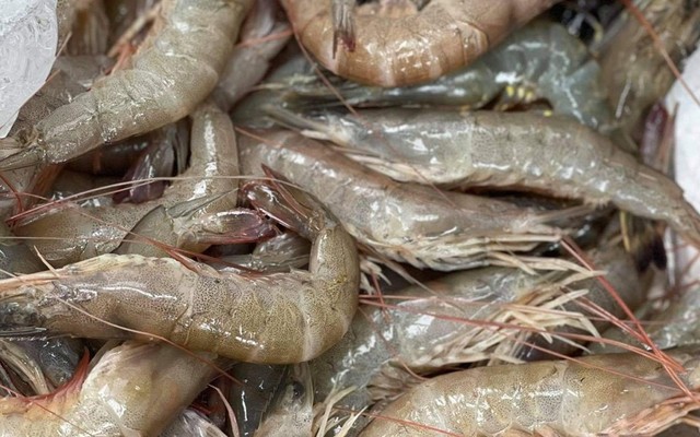 Minh Anh Fresh Foods - Trần Mai Ninh